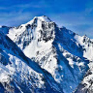 Meet your Posher, Simone